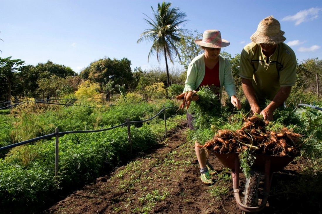 imagen Ofrecen ciclo de capacitación en ventas y comercialización para productores rurales