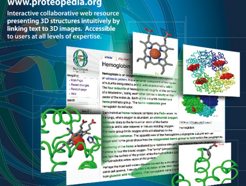 imagen Desarrollan taller sobre Proteopedia