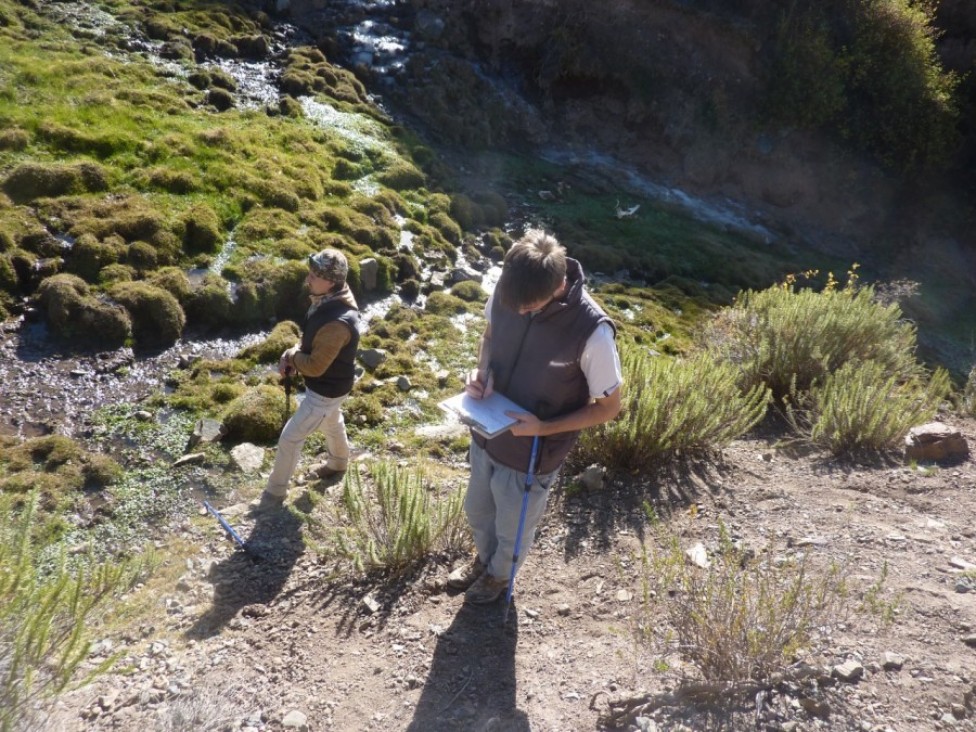 imagen Ciencias Agrarias apuesta a la reforestación para cuidar el medioambiente 