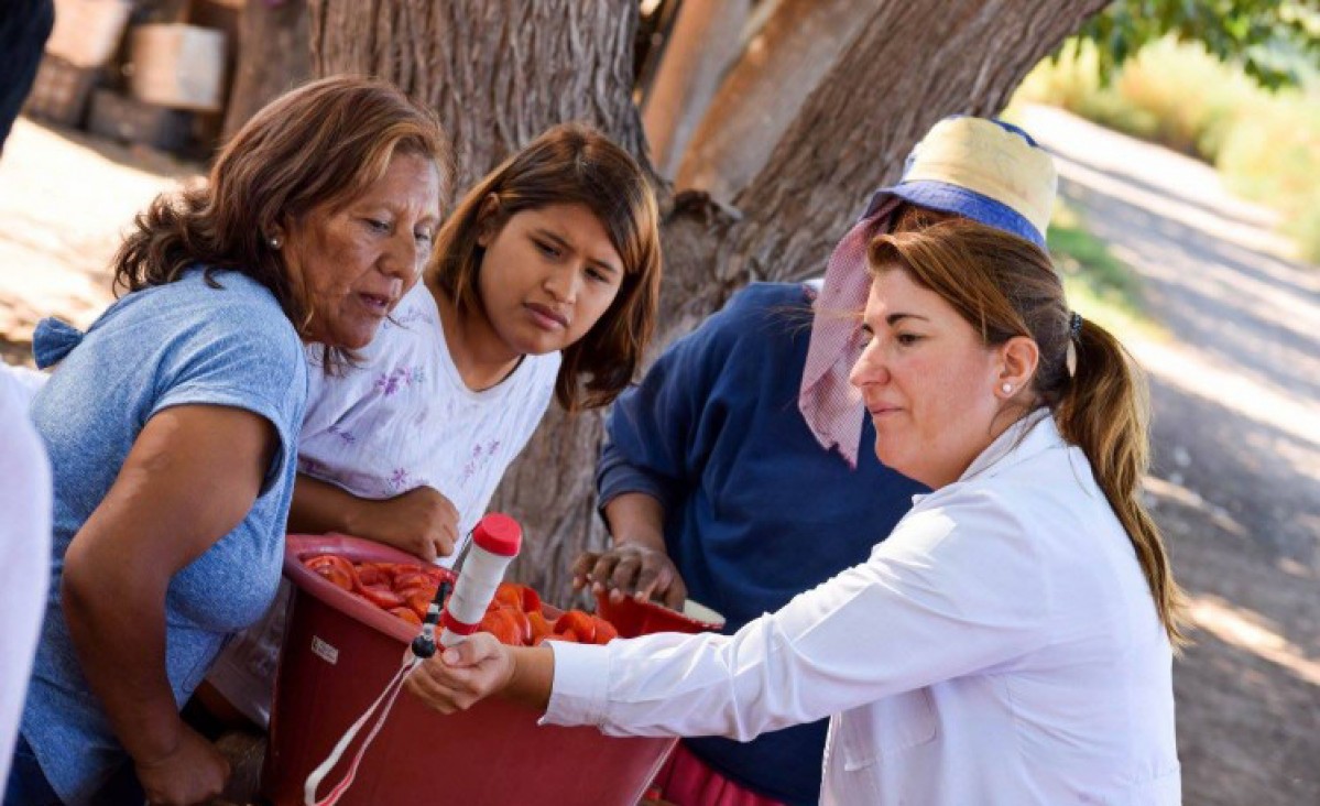 imagen Proyectos sociales ya pueden inscribirse a la Convocatoria "Proyectos Mauricio López"