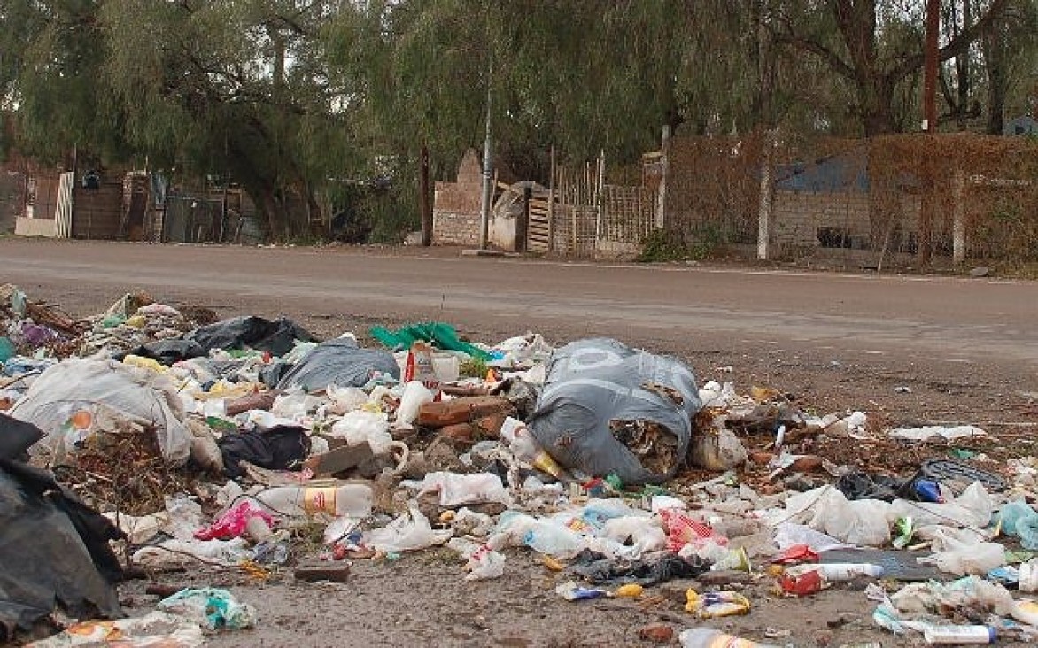 imagen Expertos franceses enseñan cómo gestionar residuos sólidos urbanos y patogénicos