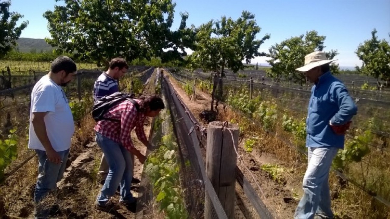 imagen En vivo por redes sociales charlarán sobre la Extensión Rural en tiempos de pandemia