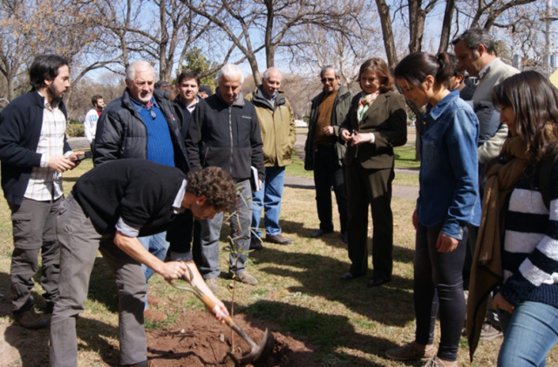 imagen Plantaron forestales en la UNCuyo en la Semana del Arbol 