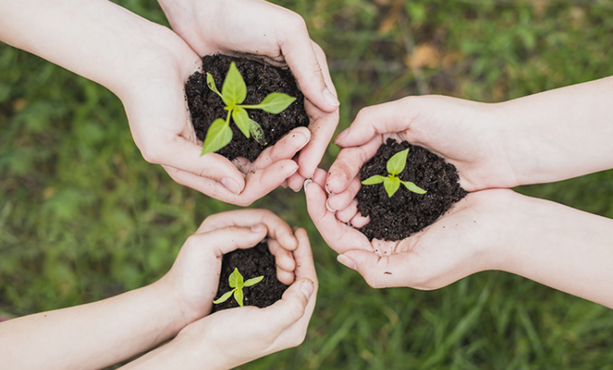 imagen Invitan a sumarse al "Voluntariado Construyendo Sustentabilidad"