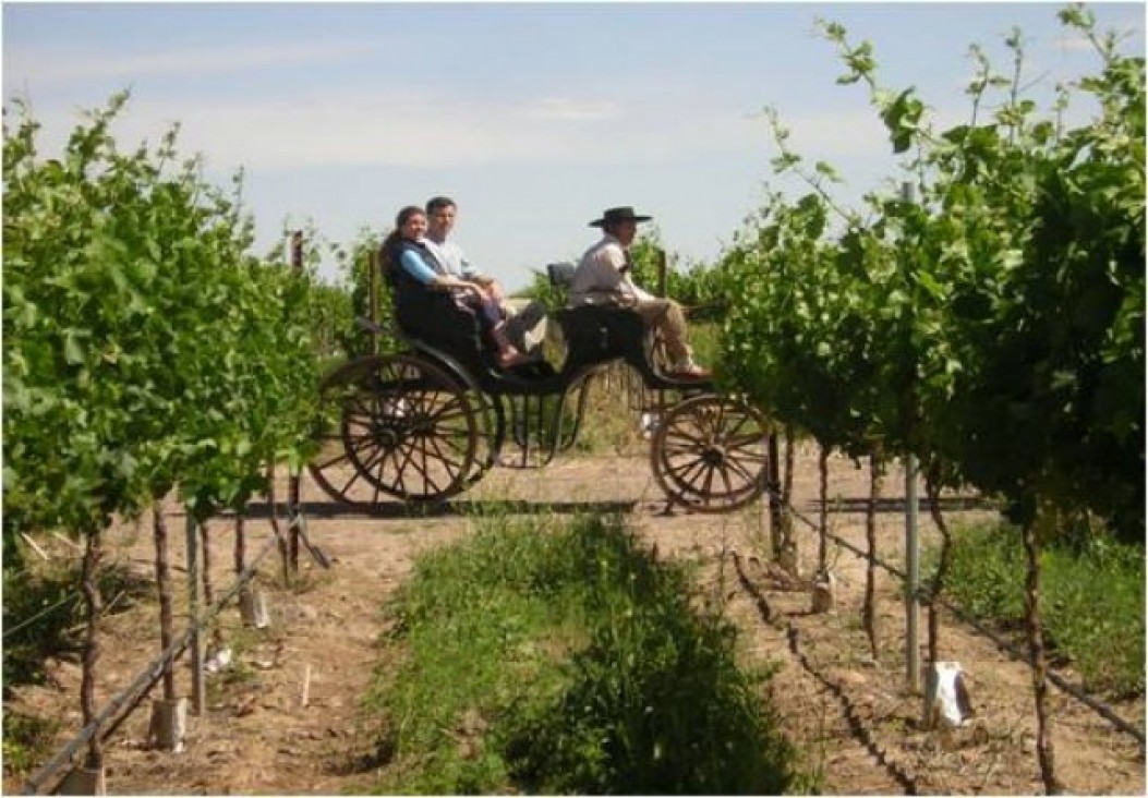 imagen Convocan a participar en el Primer Congreso Internacional de Turismo del Vino