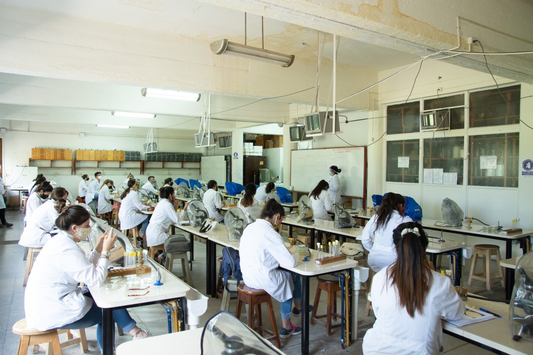 imagen Así arranca el calendario académico con la presencialidad que definieron las autoridades de la UNCUYO