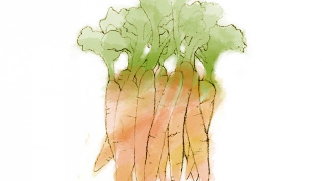imagen Producción y comercio de zanahorias, tema de análisis en Agrarias