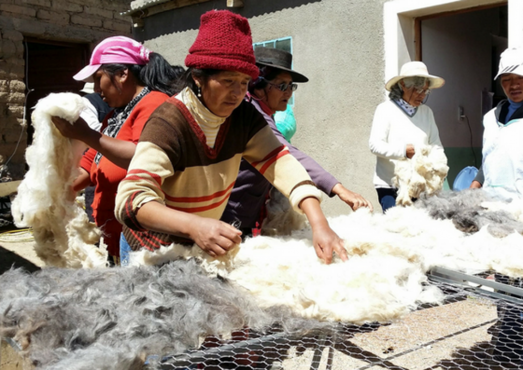 imagen Seminario:  Repensando el desarrollo rural en América Latina y el Caribe