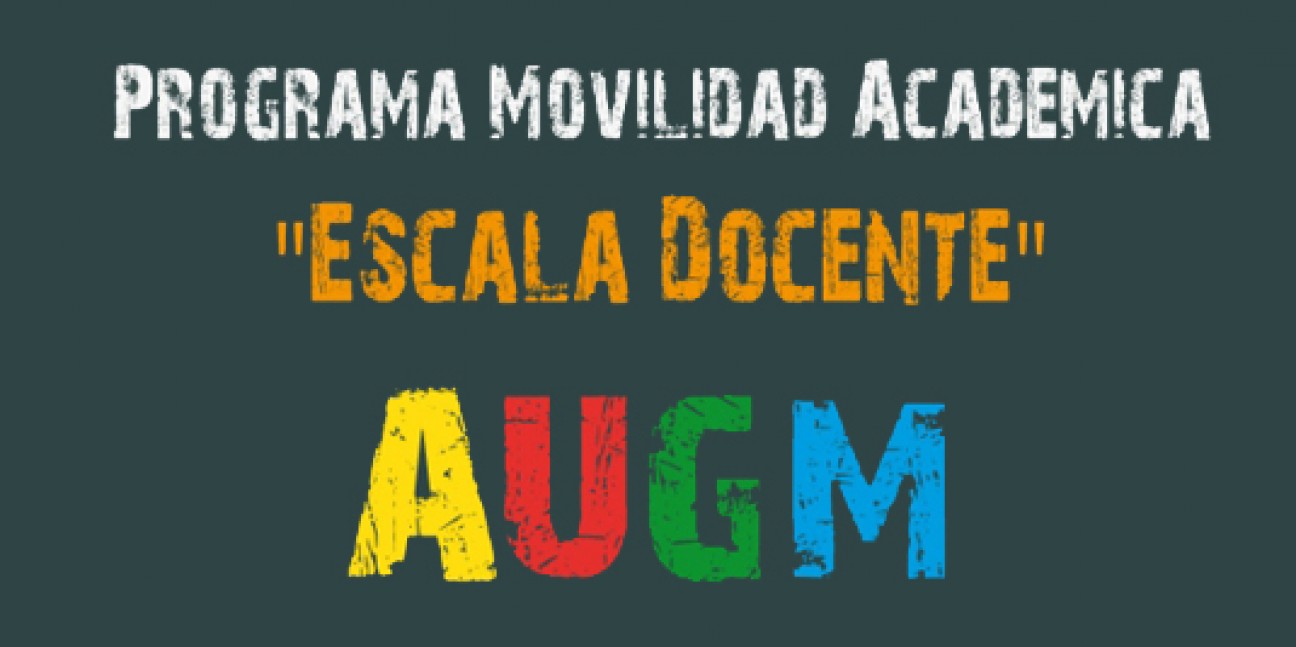 imagen Listado de los docentes seleccionados para el PROGRAMA ESCALA DOCENTE – AUGM- 2º llamado