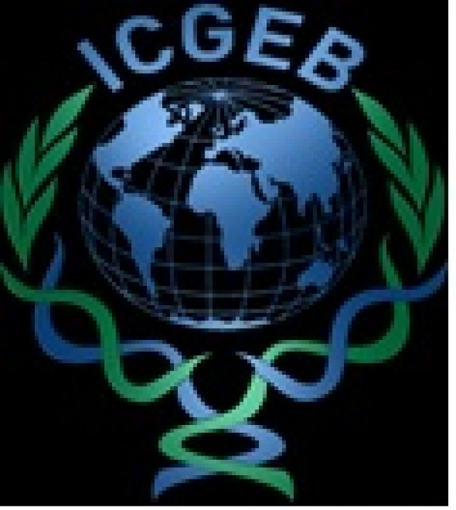 imagen CONVOCATORIA ICGEB  2014