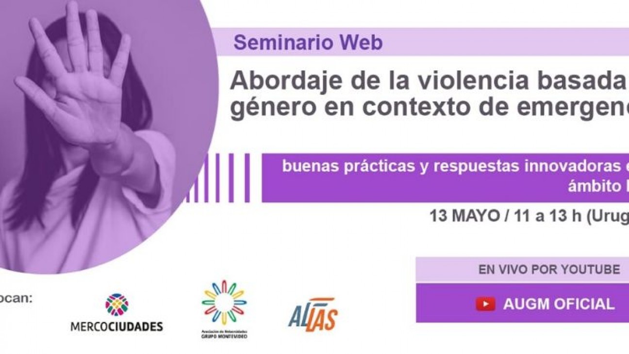 imagen Webinar: " Abordaje de la violencia basada en género en contexto de emergencia sanitaria"