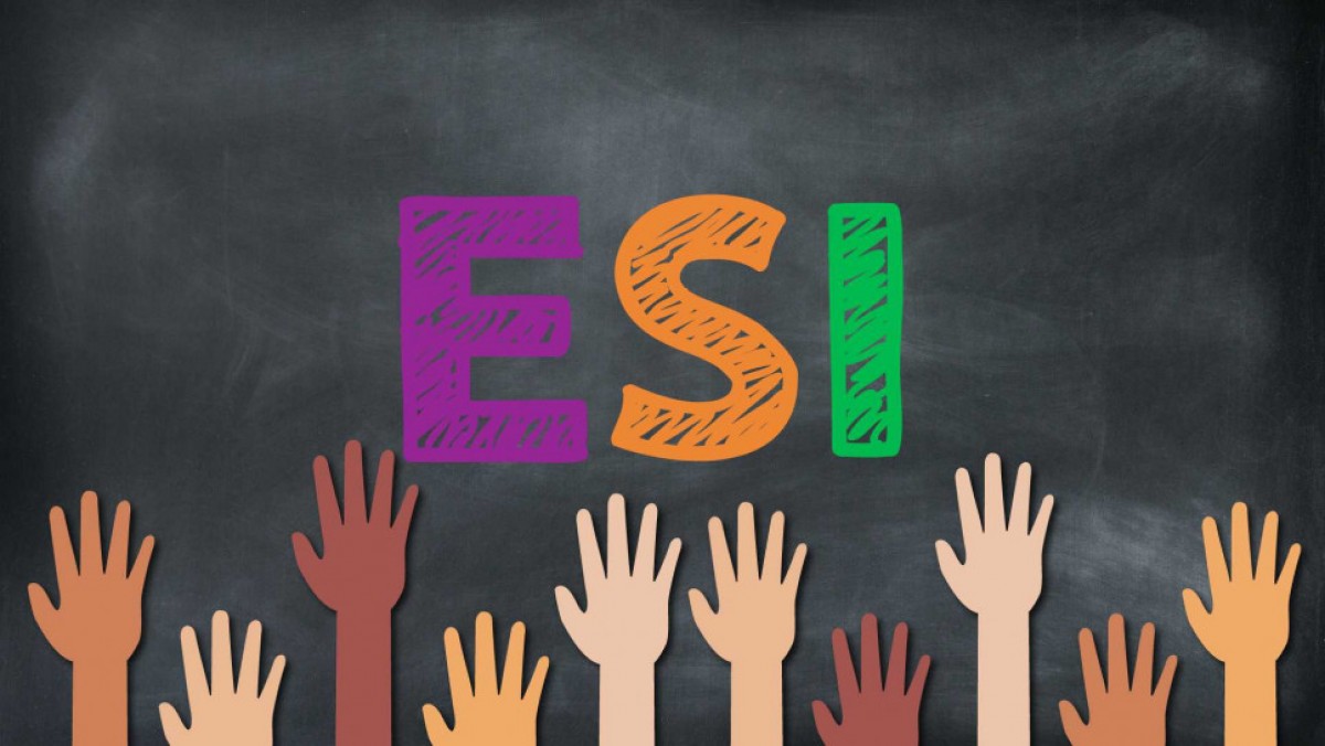 imagen Educación Sexual Integral (ESI/EIS)