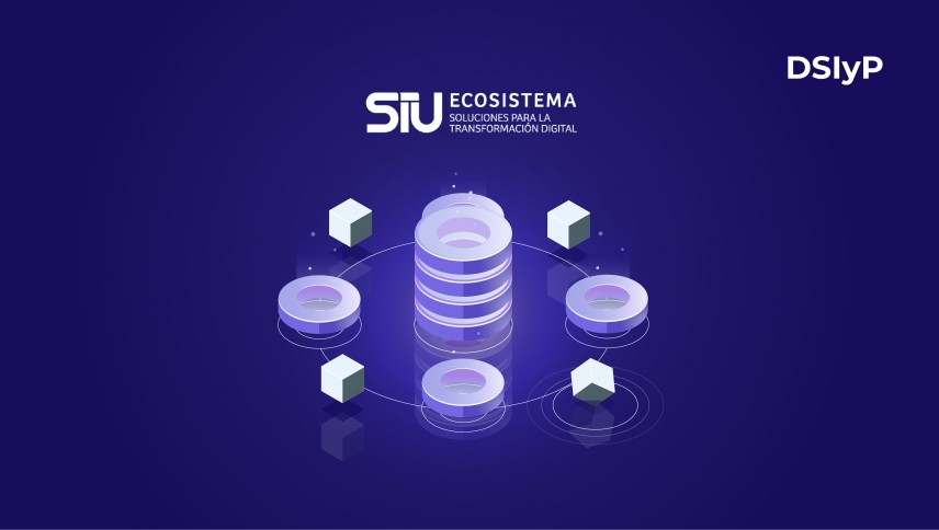 imagen Ecosistema SIU y Soluciones de terceros