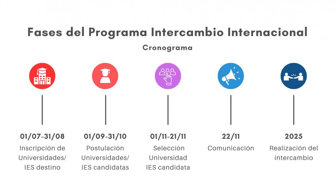 imagen Cronograma de Fases para la participación en el Programa de Intercambio Internacional MetaRed