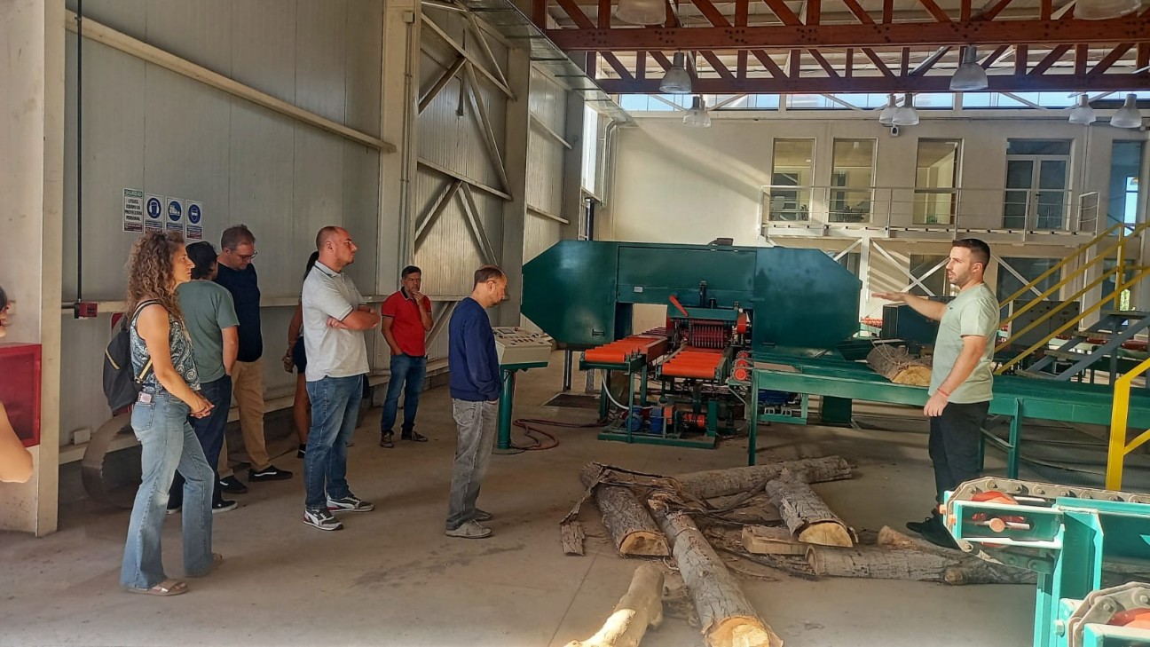 imagen El Centro Tecnológico de la Madera apuesta a la economía circular para su puesta en marcha