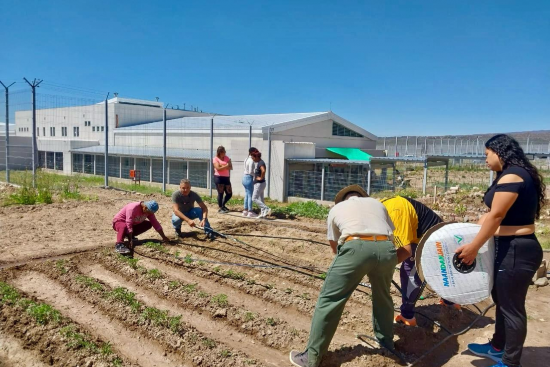 imagen Formación en Oficios en contextos de encierro: Talleres de  introducción al diseño y manejo de la huerta