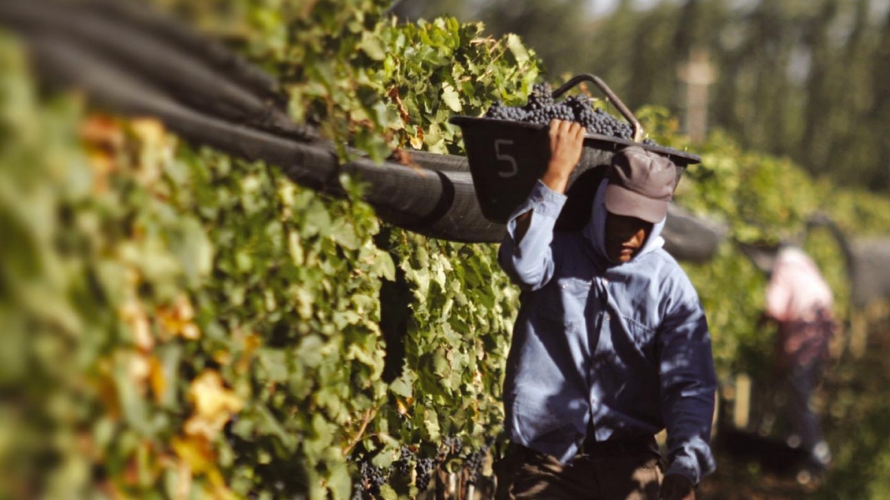 imagen Nuevas oportunidades para productores mendocinos