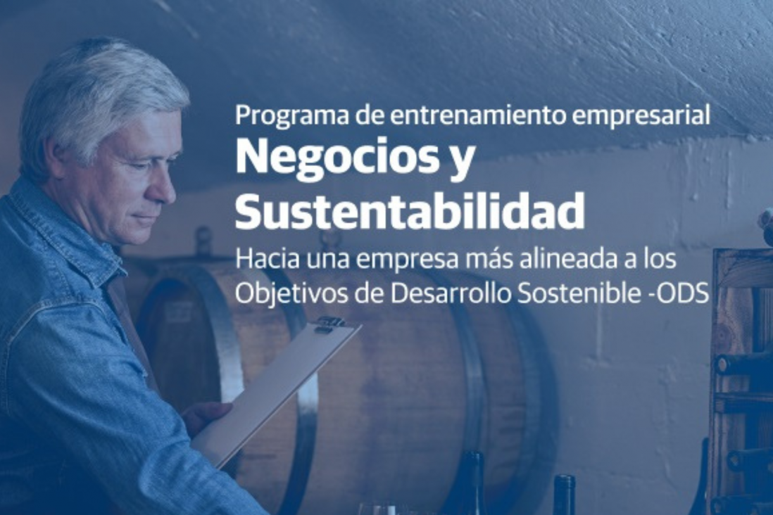 imagen Programa de entrenamiento empresarial sobre Negocios y Sustentabilidad. Inscripciones abiertas!