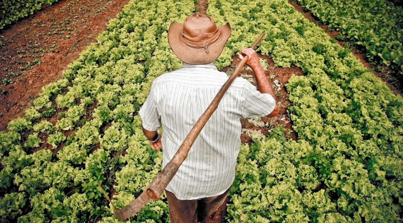 imagen Créditos para productores agropecuarios y de alimentos frescos 