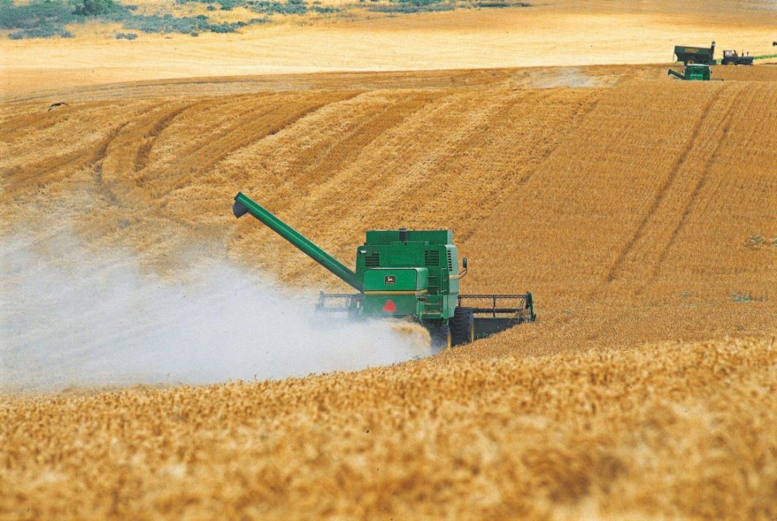 imagen Lanzan convocatoria para financiar proyectos que trabajen con energías renovables en la industria agropecuaria