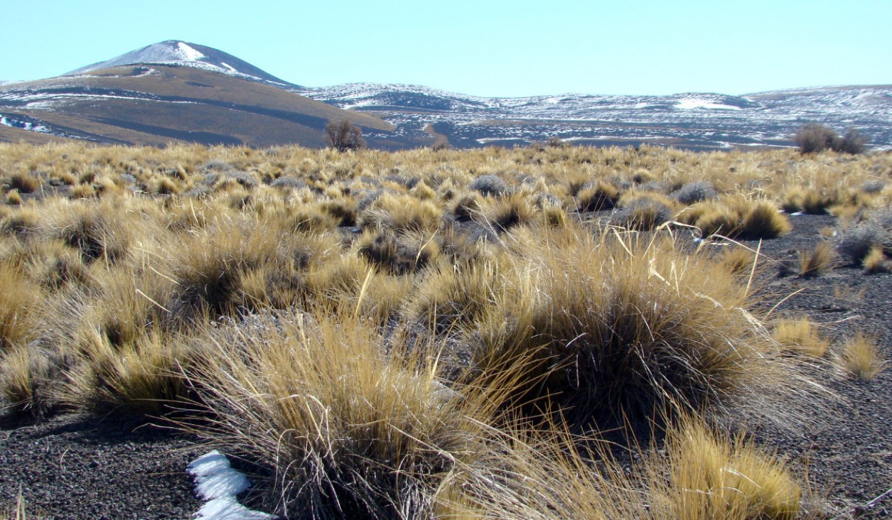 imagen Especialista internacional en medio ambiente y desarrollo territorial disertará en la UNCuyo