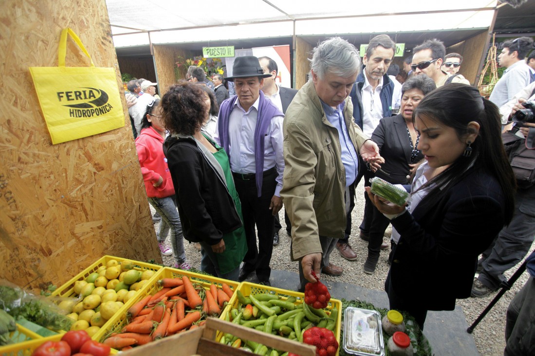 imagen Abordarán la comercialización frutihortícola en el Simposio sobre Bioeconomía en la UNCUYO