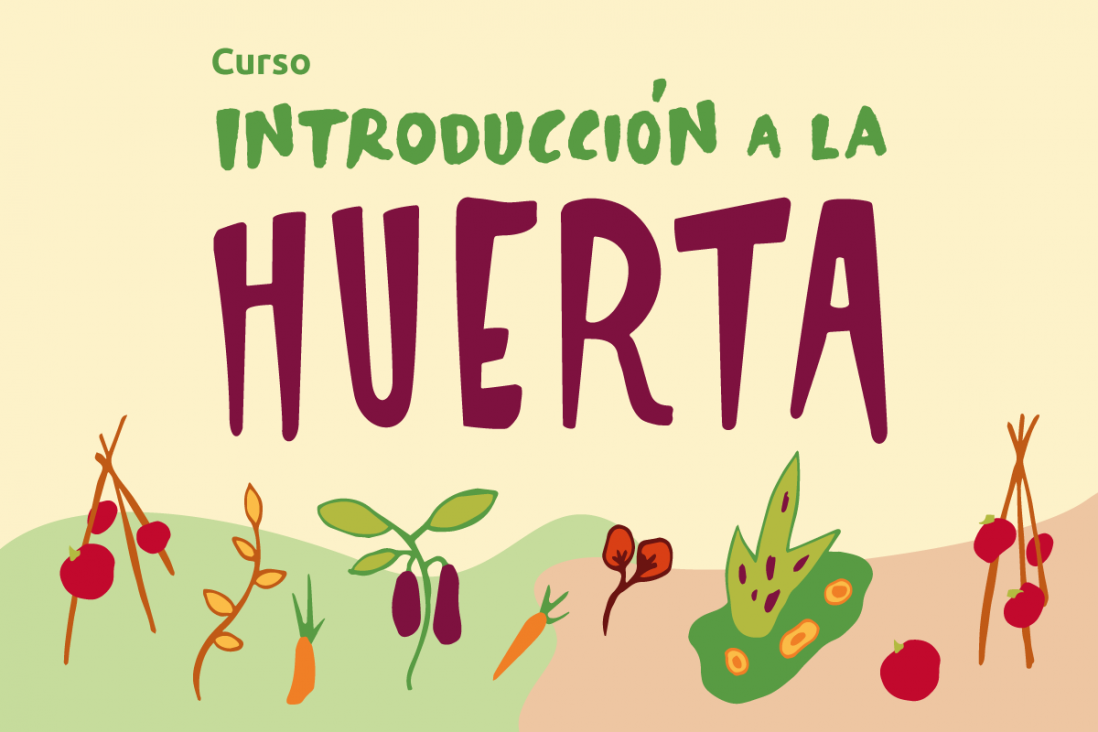 imagen Curso de Introducción a la Huerta