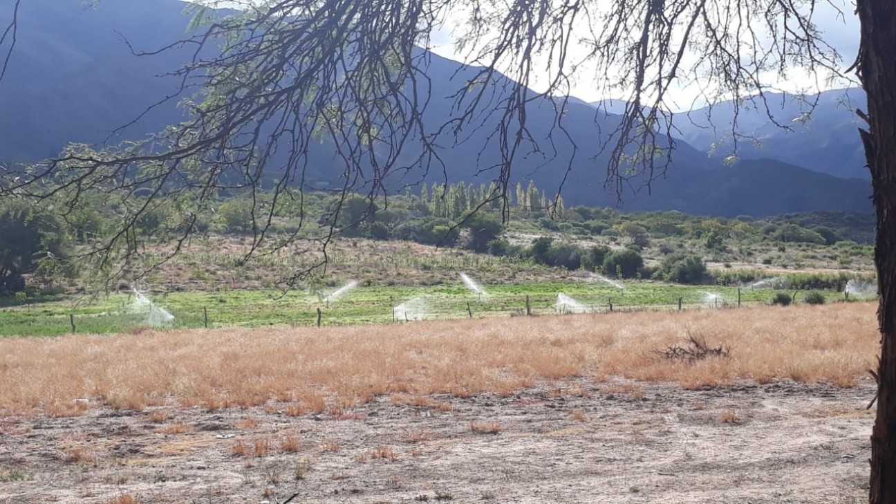 imagen Convocatoria "Manejo Sustentable de Tierras" para las regiones Noroeste y Cuyo