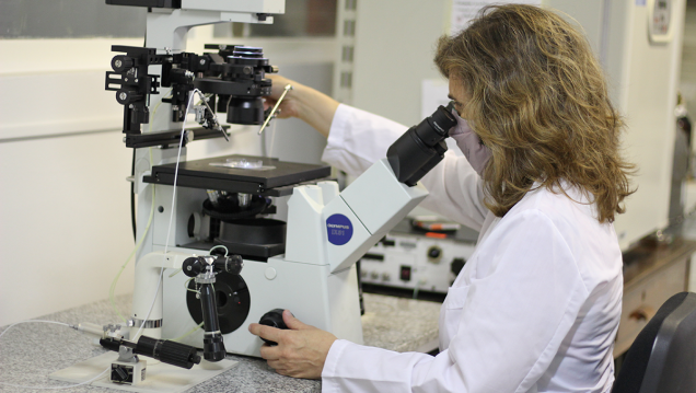 imagen La UNCUYO desarrolla biotecnología para promover la producción caprina en Mendoza, San Juan y San Luis