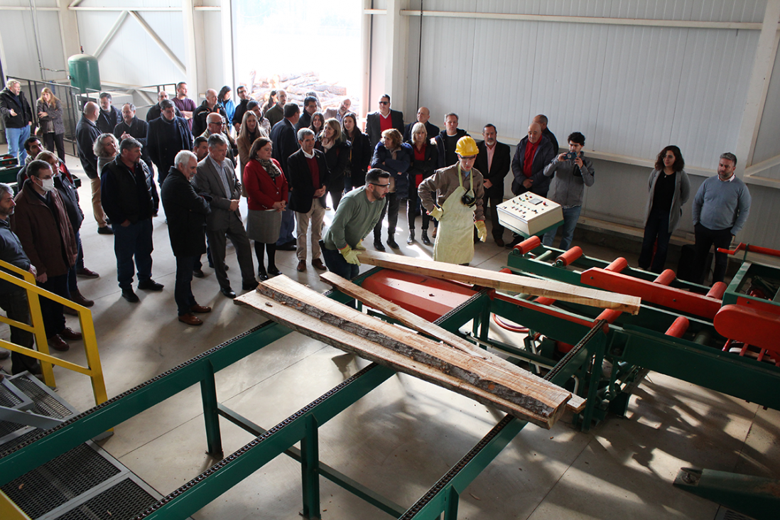 imagen Nuevo servicio: El Centro Tecnológico de la Madera suma la línea de aserrado